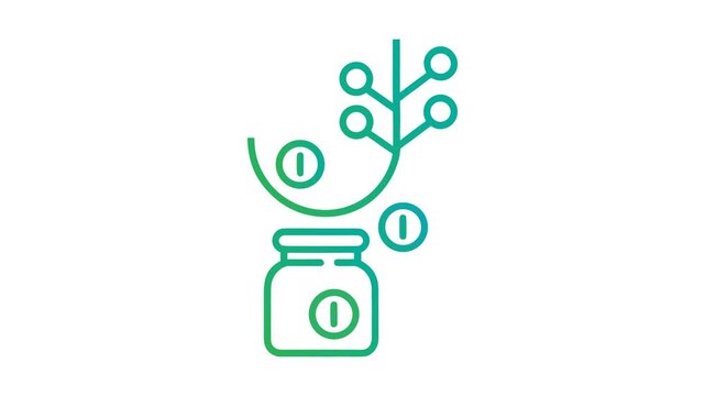 Outline Vector Animation of Plant and Money Jar with Growing Coins, Alpha Channel

