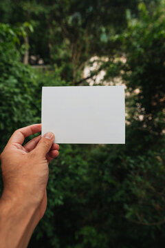 Holding a blank paper for copy space in nature