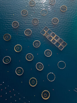 Fish Farming Cages in Water During Daylight Hours