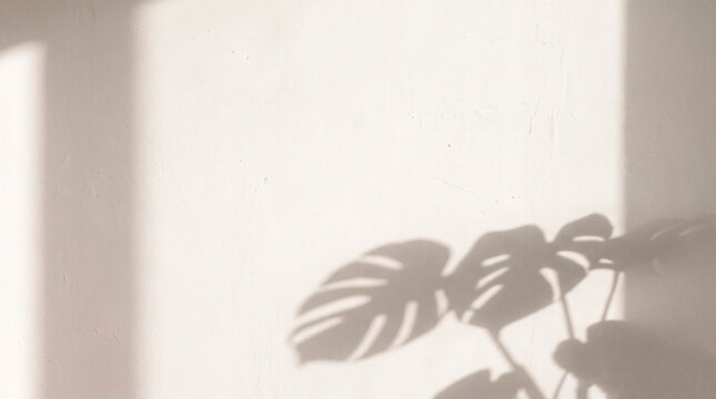 Soft shadow of tropical plant leaves on a white wall illuminated by sunlight, minimalist interior and wellbeing concept