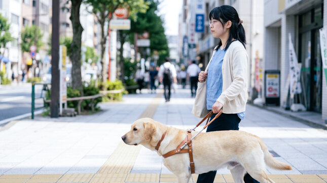 盲導犬と触れ合い深い絆で結ばれた視覚障害者のコミュニケーション