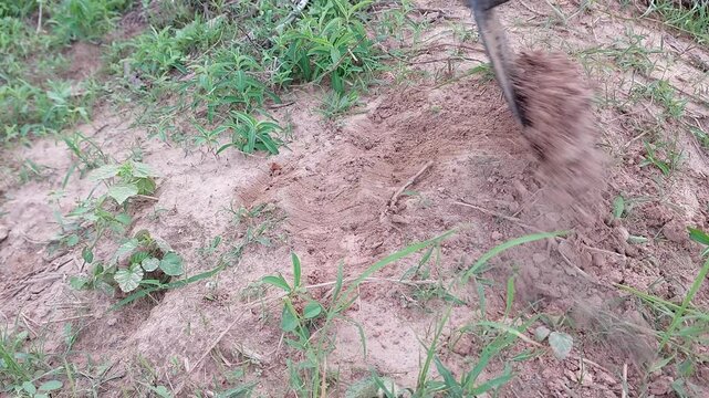 Close up of a hoe digging and tilling dry soil to prepare for planting.
