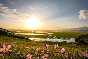 Sunset over wetland plain with pink wildflowers © DoThi