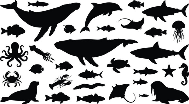 Black and white of scattered bat silhouettes and stars bats flying night sky