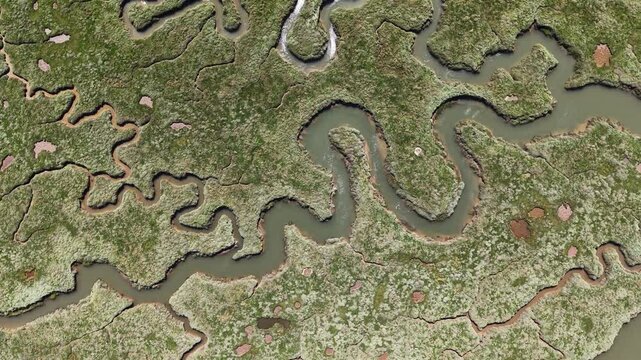 Tidal channels in Blakeney National Nature Reserve, Norfolk, United Kingdom