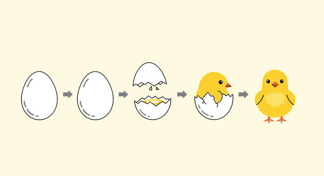 Step by step illustration of a chick hatching from an egg showing the process from whole egg to cute yellow baby bird.