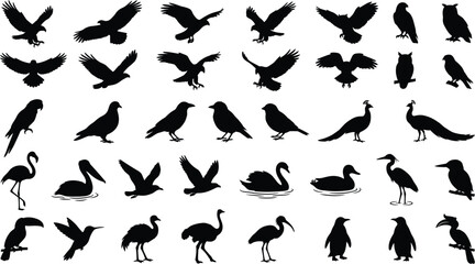 Fototapeta premium Black silhouette of various birds in flight, isolated on white background, bird flying birds, bird shapes