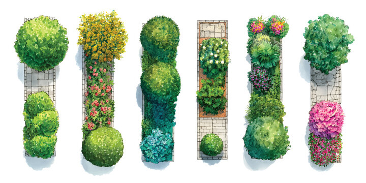 Linear planter box and path walkway top view orthographic site plan set watercolor 