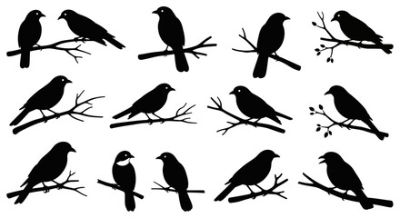 Fototapeta premium Black silhouettes of birds perched on bare tree branches