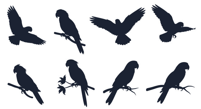 Silhouettes of parrots and birds in various poses
