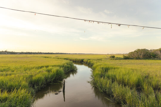 The Marsh at St. Simons Island