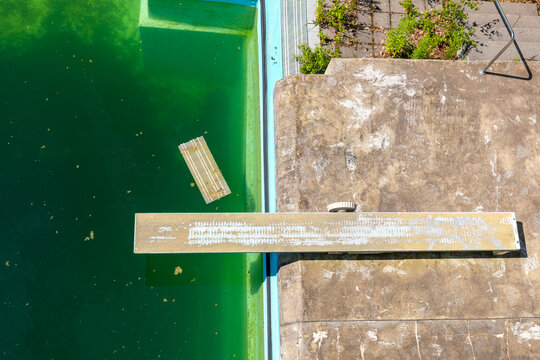 Diving board stands above an empty swimming pool covered in green algae and debris