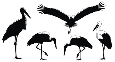 Fototapeta premium Stork silhouettes in various poses black and white illustration silhouette