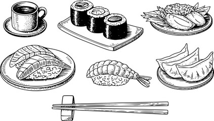 Hand-drawn of various japanese sushi rolls, nigiri, gyoza dumplings, and a cup of tea on white background © Md_Rakib