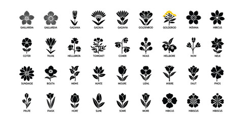 Obraz premium Collection of 40 minimalist black and white flower icons and floral silhouettes. Various botanical species including tulips, roses, hibiscus and daisies in flat vector design for logos.