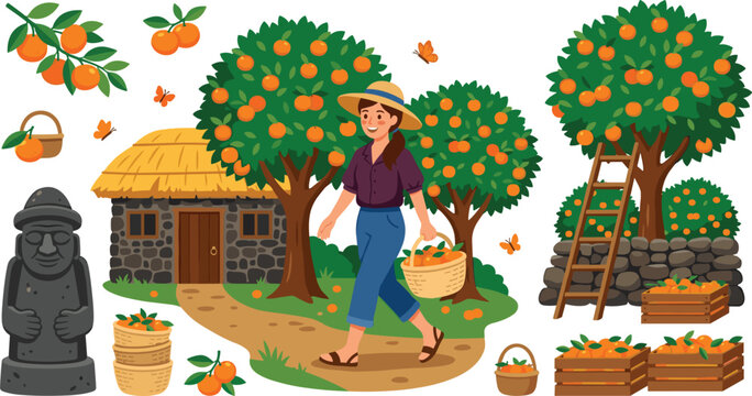 Jeju island orange harvesting set with dol hareubang statue traditional stone house woman picking citrus fruits and full wooden crates vector illustration