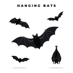 Fototapeta premium Set of cute cartoon bats flying and hanging upside down isolated on white background, for halloween decoration, and spooky night themed