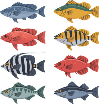 Diverse collection of vibrant marine fish swimming in the ocean displaying beautiful patterns and colors