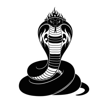 Black and white cobra snake head.