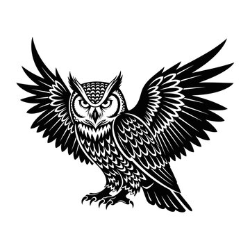 Detailed illustration of an owl.