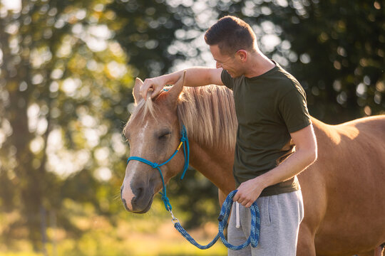 Man stroking horse during hippotherapy session on sunny day. Animal assisted therapy, rehabilitation, outdoor activity and healthcare concept.