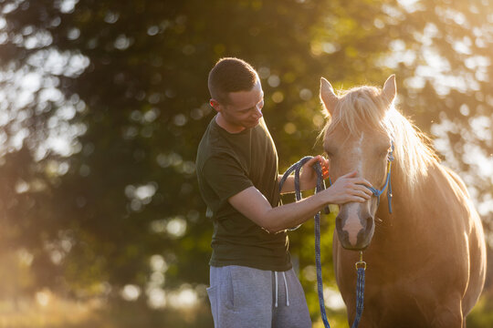 Man stroking horse during hippotherapy session on sunny day. Animal assisted therapy, rehabilitation, outdoor activity and healthcare concept.