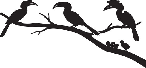 Silhouette of three hornbills and two chicks on a tree branch © MD