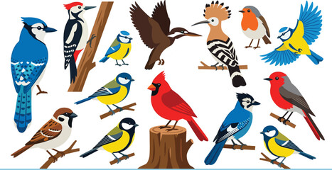 Garden Birds Vector Icon Set Featuring Diverse Flying and Perched Songbirds Like Cardinal Blue Jay Woodpecker Titmouse Robin and Sparrow Collection © Hosneara