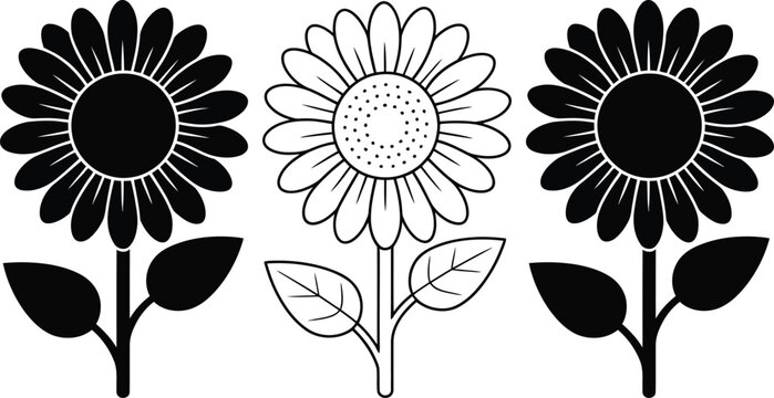 Three black and white daisies with leaves on stems