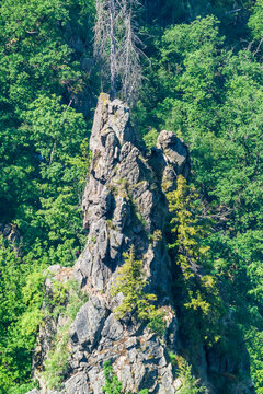 Felsformationen und Flora im Harz bei Thale, Deutschland
