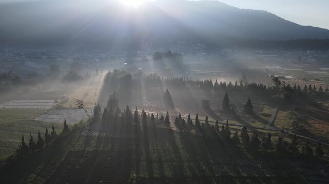 Aerial view of Dieng Plateau with misty morning sun rays shining over pine trees and agricultural fields in Batur, Central Java, Indonesia.