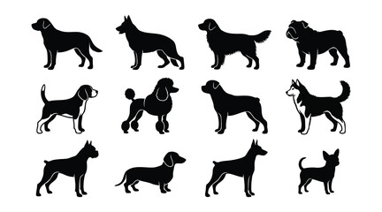 Collection of diverse dog breed silhouettes against a white background depicting canine companions silhouette © Babla
