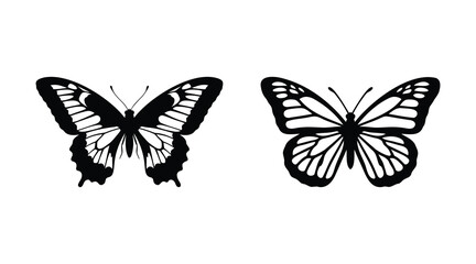 Two black butterfly silhouettes with detailed wing patterns on a white background silhouette © Babla