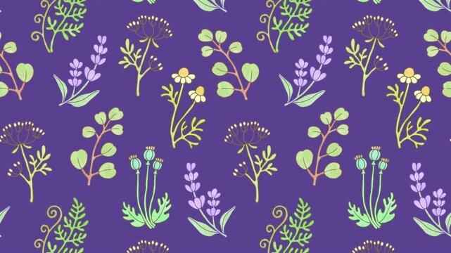 Vintage 2D seamless loop pattern with hand-drawn lavender, chamomile, poppy pods, and eucalyptus. Line art doodle animation for cozy music backgrounds and loading or waiting screens.