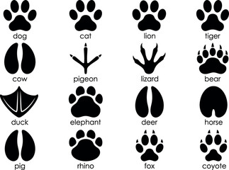 Animal paw print and footprint silhouette icon collection set with labels isolated on transparent background element © arifa journal!