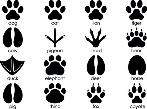 Animal paw print and footprint silhouette icon collection set with labels isolated on transparent background element