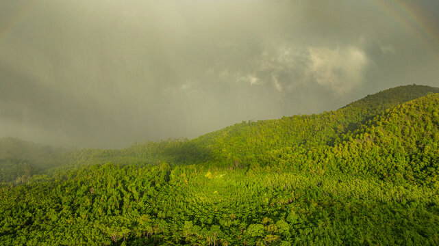 Majestic Rainbow above the Green grass mountain in Ranong. A peaceful rainforest landscape features a vibrant rainbow, creating an inspiring and picturesque view that symbolizes hope and renewal.