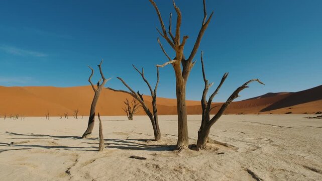 Scenic view of dead trees in the iconic deadvlei landscape of sossusvlei, namib desert, namibia