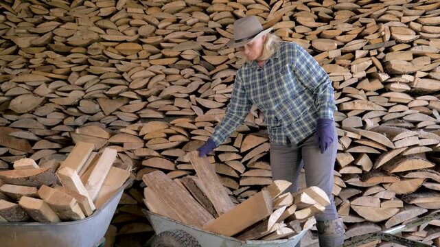 Hardworking mature woman in plaid shirt and hat carefully puts firewood from wheelbarrow into barn of large woodpile. A woman harvesting firewood for the cold winter in a village barn