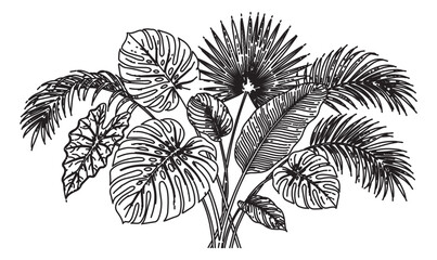 Vintage tropical leaves engraving, black and white monstera and palm leaf vector illustration, exotic botanical foliage bouquet for wedding stationery © Rehman