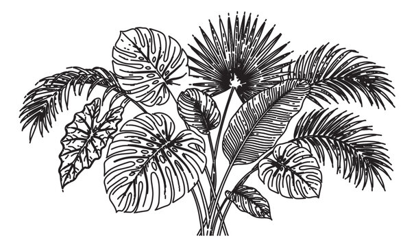 Vintage tropical leaves engraving, black and white monstera and palm leaf vector illustration, exotic botanical foliage bouquet for wedding stationery