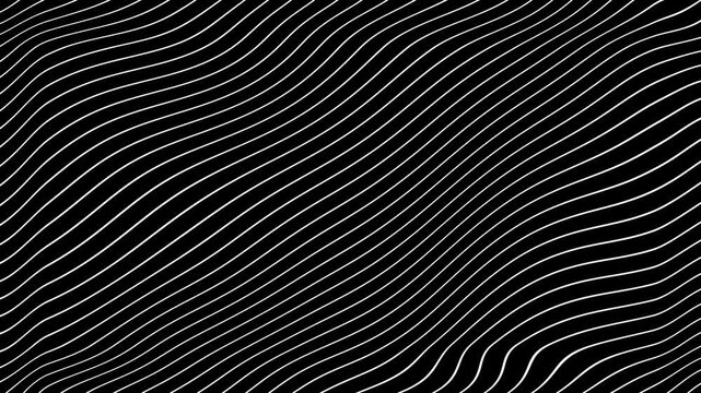 White Grey abstract curved wavy lines twist motion on black background.Visual white wavy line on black motion background.Minimal abstract thin white color wavy line moving background.