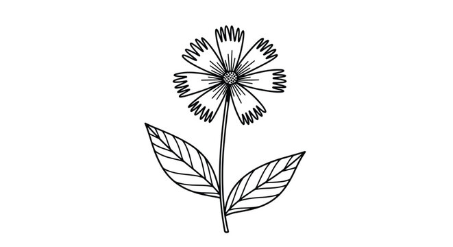 Simple botanical line drawing of a single wildflower with two long leaves provides a clean and minimalist floral icon.