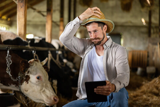 Young farmer feeling puzzled while looking at a digital tablet, managing his livestock inside a traditional barn