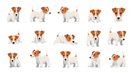 Obraz premium Vector set of adorable Jack Russell Terrier dog illustrations in different playful and static poses on a white background.