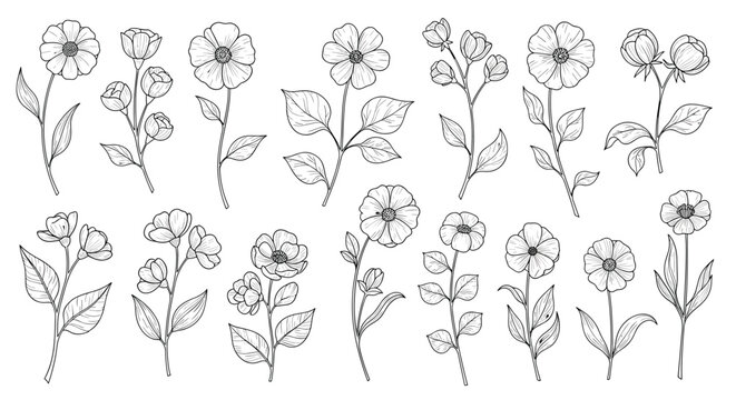 Large collection of hand-drawn vintage style botanical line art illustrations of different types of flowers and buds on a white background.