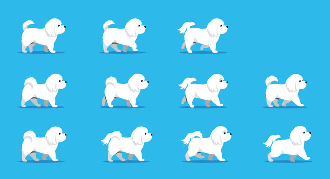 White bichon frise dog walking animation sequence is shown as a sprite sheet against a bright blue background for use in games or apps.