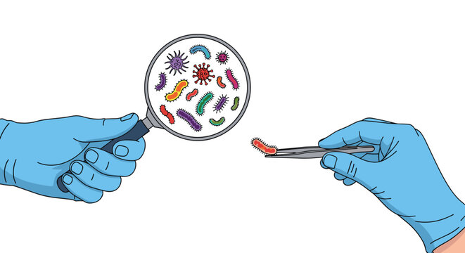 Scientific research concept showing hands in blue medical gloves examining colorful bacteria through a magnifying glass using tweezers.