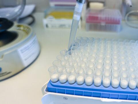 Brussels, Belgium. Laboratory technician using a micropipette to transfer samples into microcentrifuge tubes during DNA extraction workflow