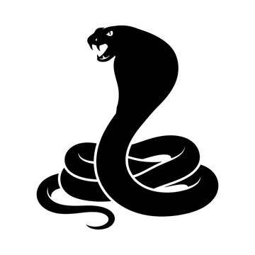 Black snake, angry snake, coiled reptile, animal icon isolated on White Background